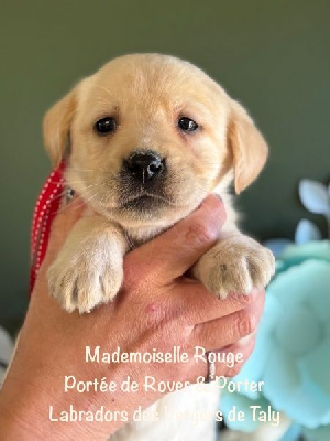 Mademoiselle Sable collier Rouge